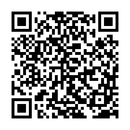 QR code for DBZ243