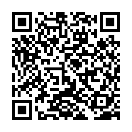 QR code for DDI228
