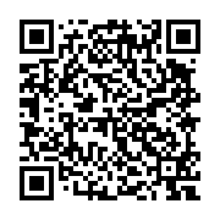 QR code for DDI491