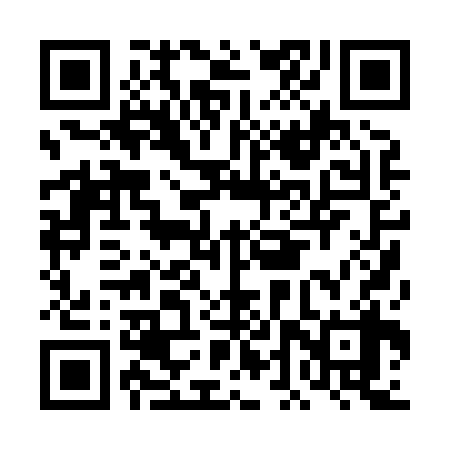QR code for DDP838