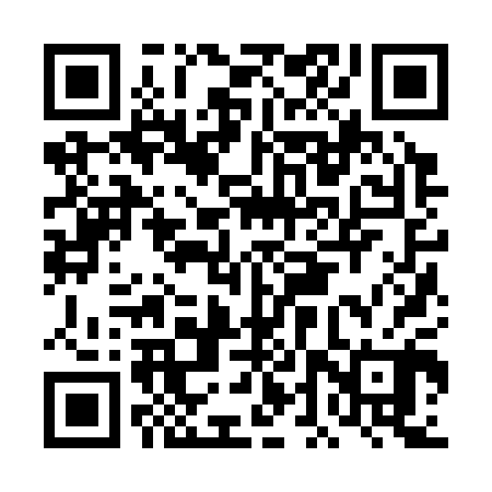 QR code for DDZ300