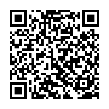 QR code for DFI221