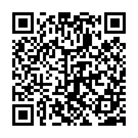 QR code for DFS402
