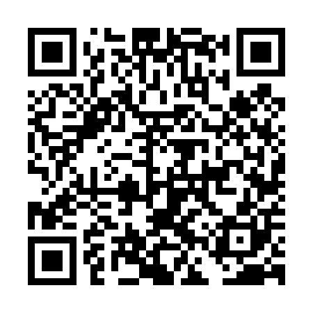 QR code for DFV400