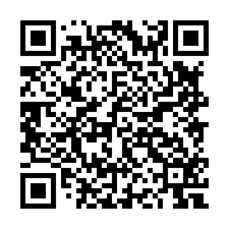 QR code for DFX816