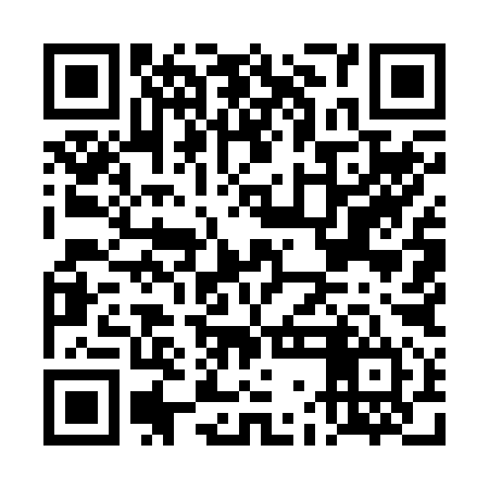 QR code for DGM294