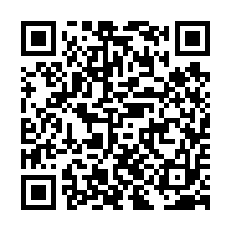 QR code for DIC613