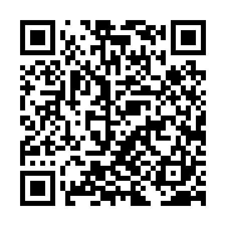 QR code for DID223