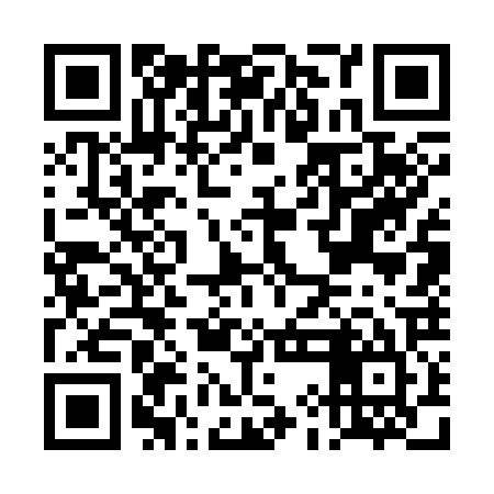 QR code for DIG325