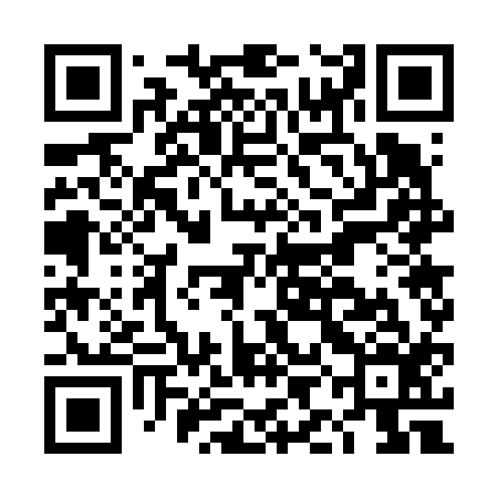 QR code for DIG616