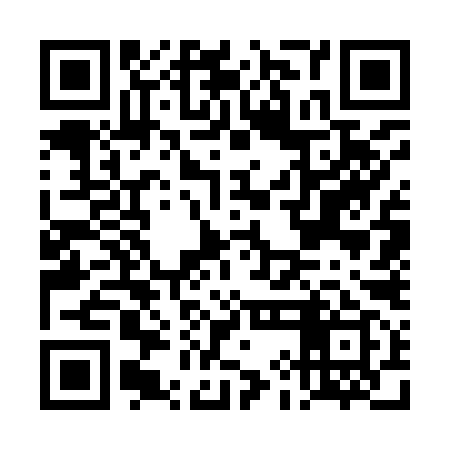 QR code for DIG999