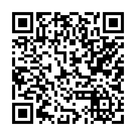 QR code for DIO295