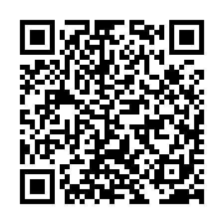 QR code for DIR911