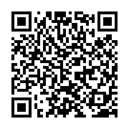QR code for DIY419