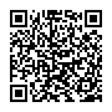 QR code for DIY565