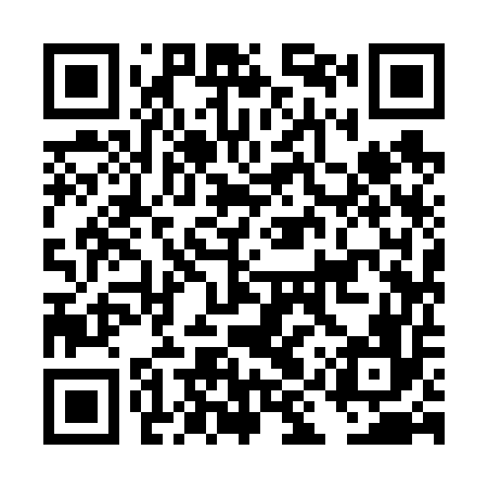QR code for DIY656
