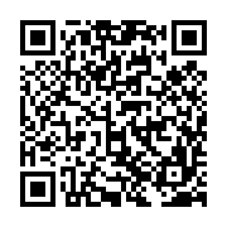 QR code for DJI496