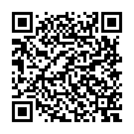 QR code for DLA951