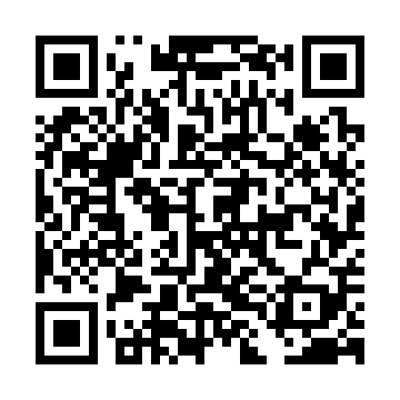 QR code for DLG309