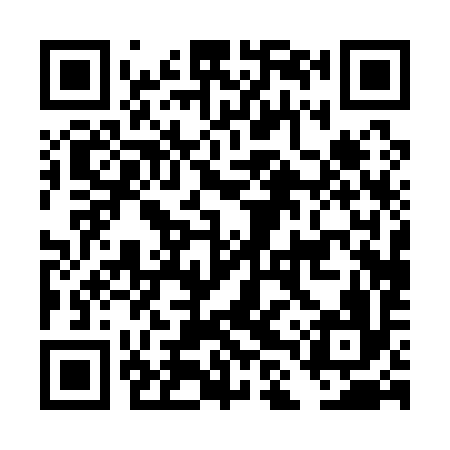 QR code for DLP196