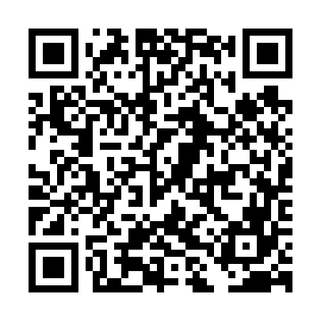 QR code for DLS666