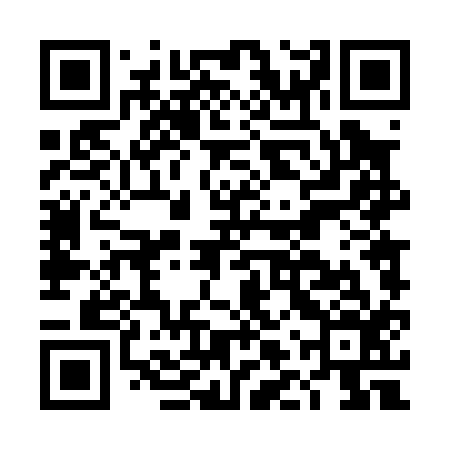 QR code for DLT016