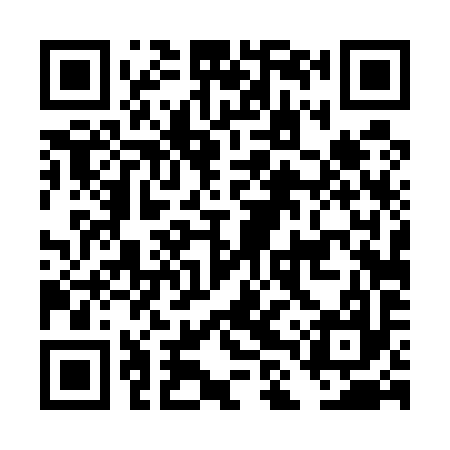 QR code for DLT597