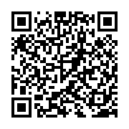 QR code for DLU011