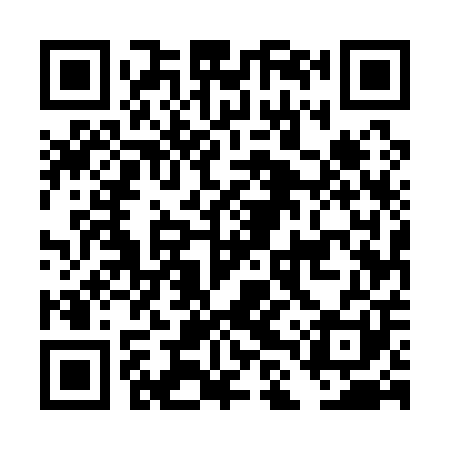 QR code for DLU101