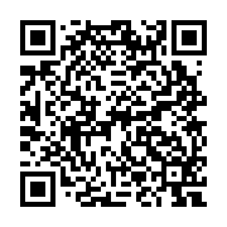 QR code for DMC396