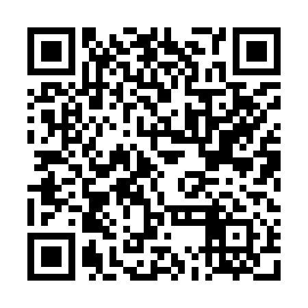 QR code for DMH911