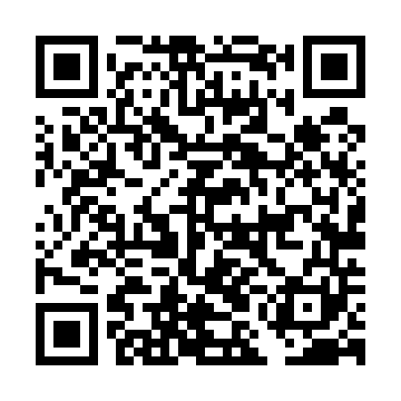 QR code for DML541