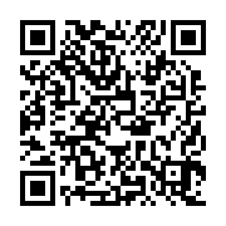 QR code for DMR203