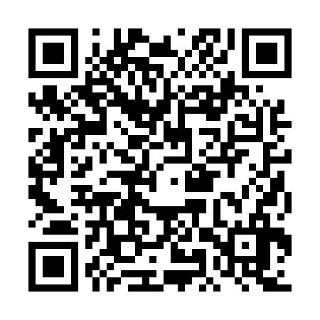 QR code for DMR536