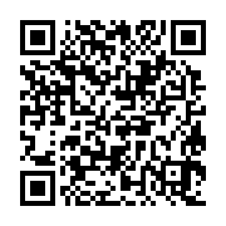 QR code for DNG383