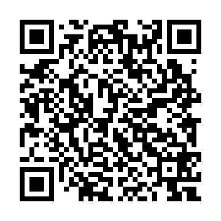QR code for DNL368