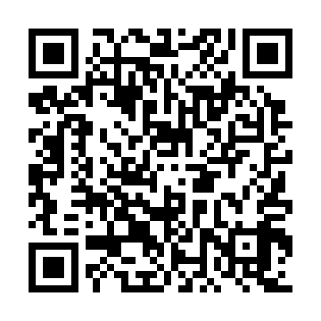 QR code for DNT319