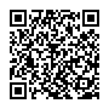 QR code for DNX439