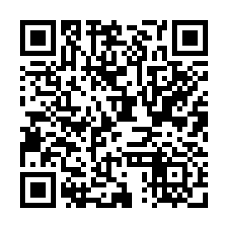 QR code for DPH333