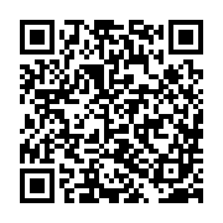 QR code for DPH383