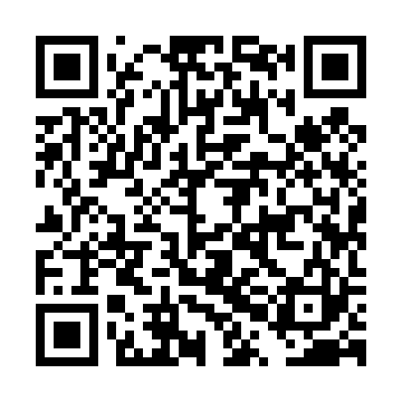 QR code for DPI423
