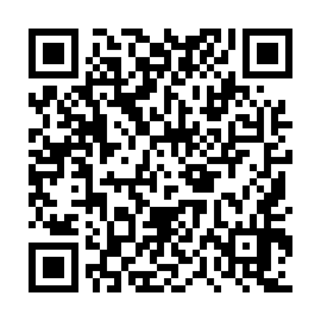 QR code for DPI554