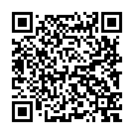 QR code for DPL933