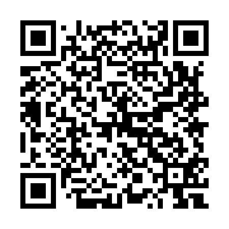 QR code for DPM911