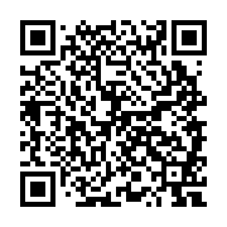 QR code for DPN380