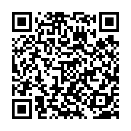 QR code for DQD618