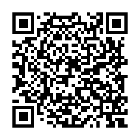 QR code for DQL955