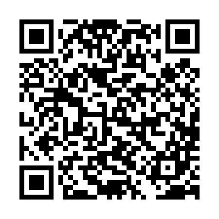QR code for DQP487