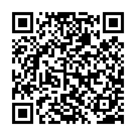 QR code for DQT481