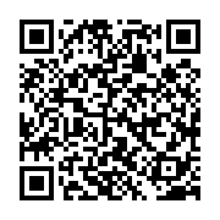 QR code for DQX538